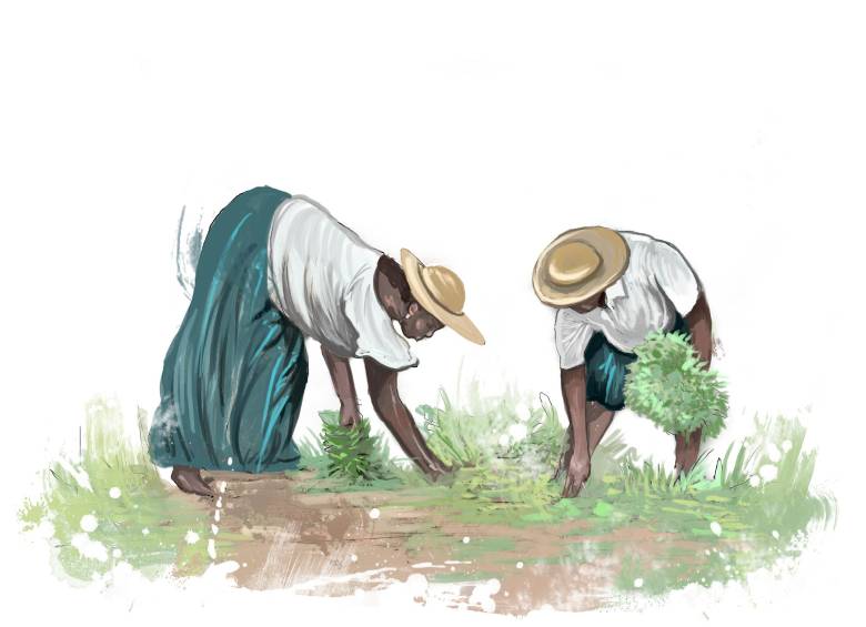 ILUSTRACIÓN Ricardo Macía 
