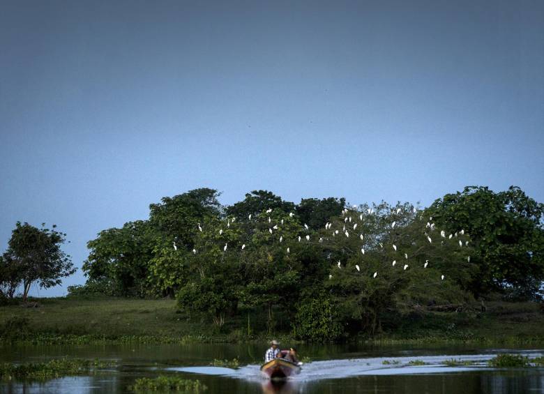 Hoy es el Día de los Humedales y se celebra con la oficialización de Ayapel (en la foto) como sitio Ramsar, por parte del Ministerio de Ambiente FOTO Andrés Romero