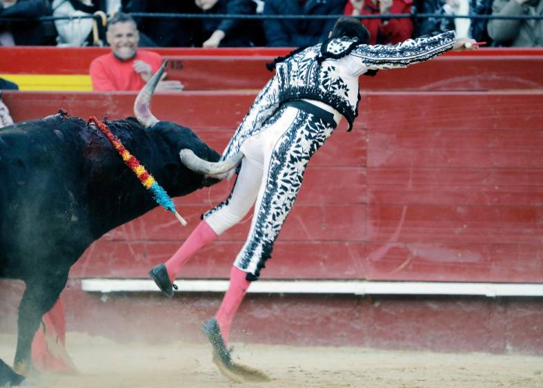 Torero diestro crucigrama