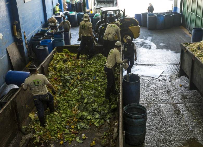 Alimentos que terminan como residuos. FOTOS CAMILO SUÁREZ