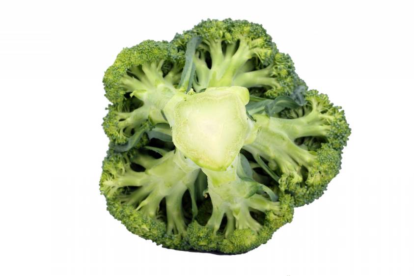 ¿Qué dice la forma y el color del popó sobre su salud?