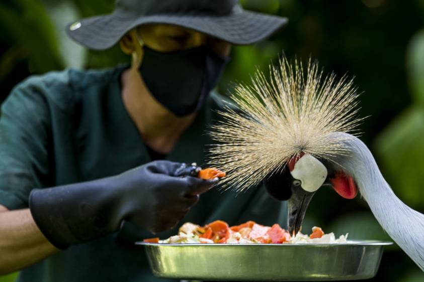 Llegó el momento de conservar y