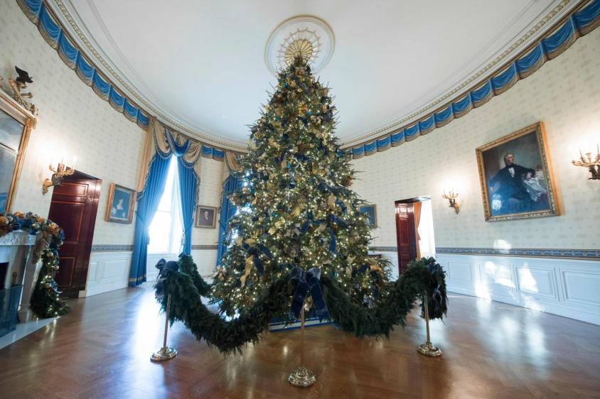 El arbol principal, de casi seis metros de altura, fue recibido sin adornos hace una semana por Melania Trump y Barron, de 11 años, el único hijo que comparte con el presidente. FOTO AFP