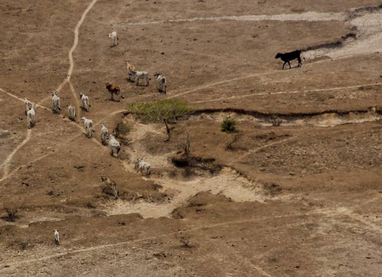 El Gobierno ha advertido que la Región Caribe es la zona del país donde se puede presentar mayor impacto. FOTO colprensa