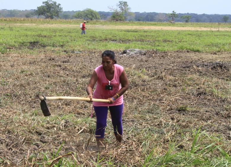 ¿Qué necesitan los pueblos del Bajo Cauca de los próximos alcaldes?