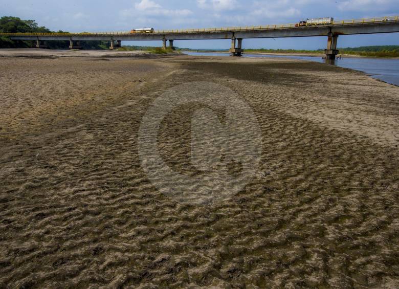 El fenómeno de El Niño de 2015-2016 duró 15 meses y la falta de lluvias y la sequía afectó a 719 municipios de 28 departamentos del país, según datos de la FAO. FOTO Juan Antonio Sánchez