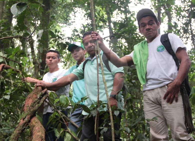 Lisandro Mora, Edixon Caicedo, Oneiro Acosta y Jhony López, monitores ambientales comunitarios.