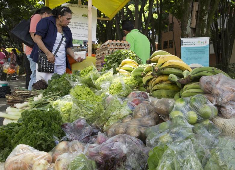 El hambre aumentó en 2017, por tercer año consecutivo, según la FAO. Foto: Edwin Bustamante Restrepo