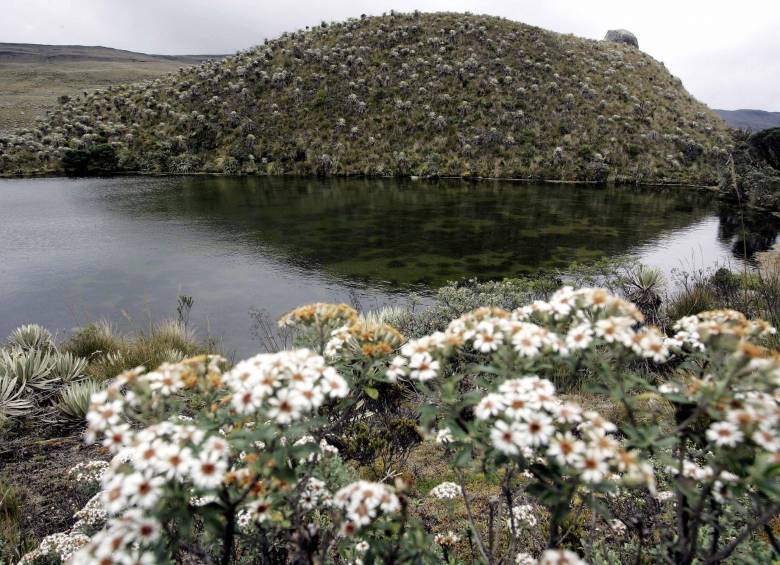 El páramo de Sumapaz está ubicado en la Cordillera Oriental en el departamento de Cundinamarca. FOTO: AP