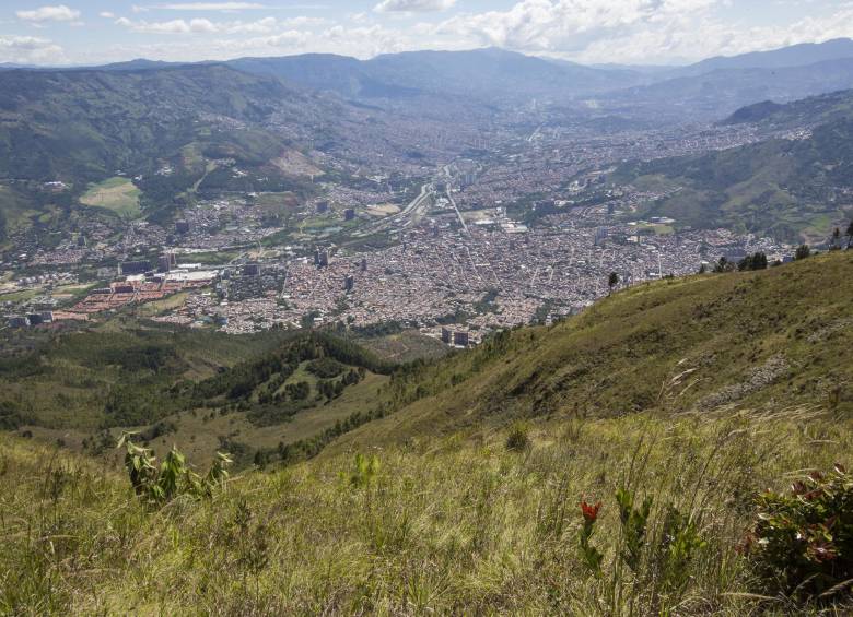 Este es el ecosistema paisa que será declarado área protegida