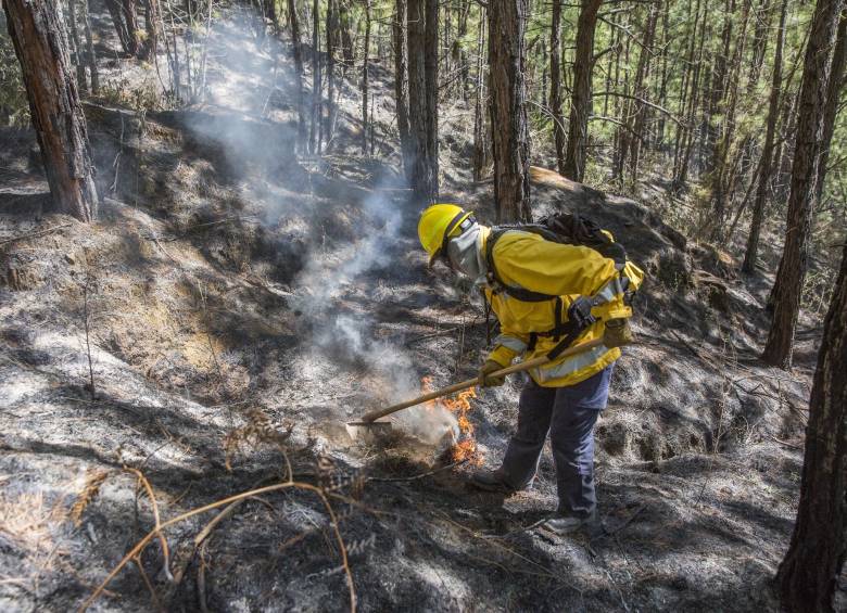El fin de semana, bomberos, con apoyo de la Fuerza Aérea, apagaron un incendio en el Cerro Quitasol. FOTO Edwin Bustamante