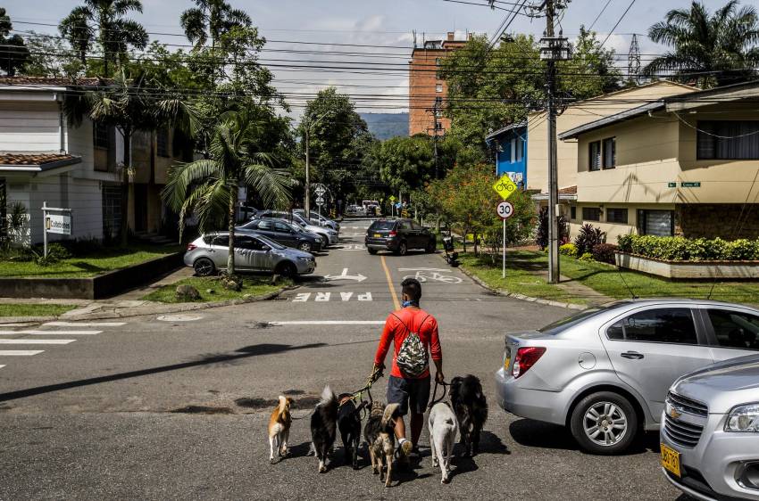 Patio Bonito, relato de viejas casas a la sombra de árboles