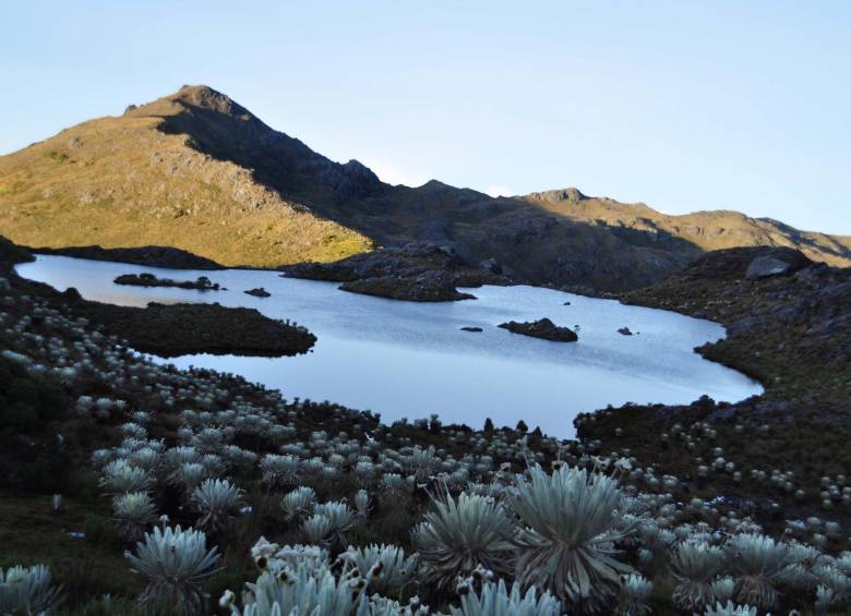 La delimitación del páramo de Santurbán significa que en 129.743 hectáreas por encima de 3.100 m sobre el nivel del mar no podría haber explotación minera o de cualquier tipo. FOTO Colprensa
