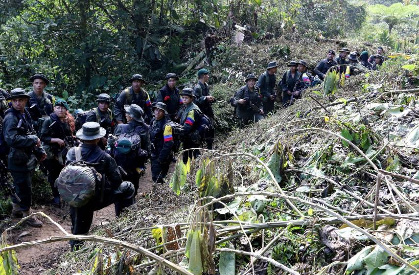 FOTO DONALDO ZULUAGA