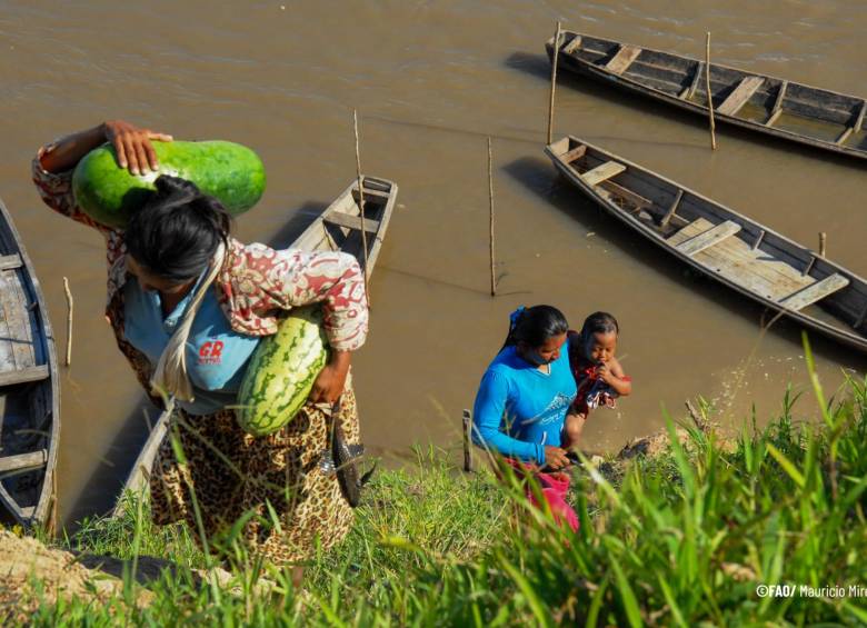 Los niños y niñas, junto a las mujeres, la población afrodescendiente e indígena son los más vulnerables ante el hambre. La FAO alerta sobre los efectos en su crecimiento. FOTO Cortesía FAO