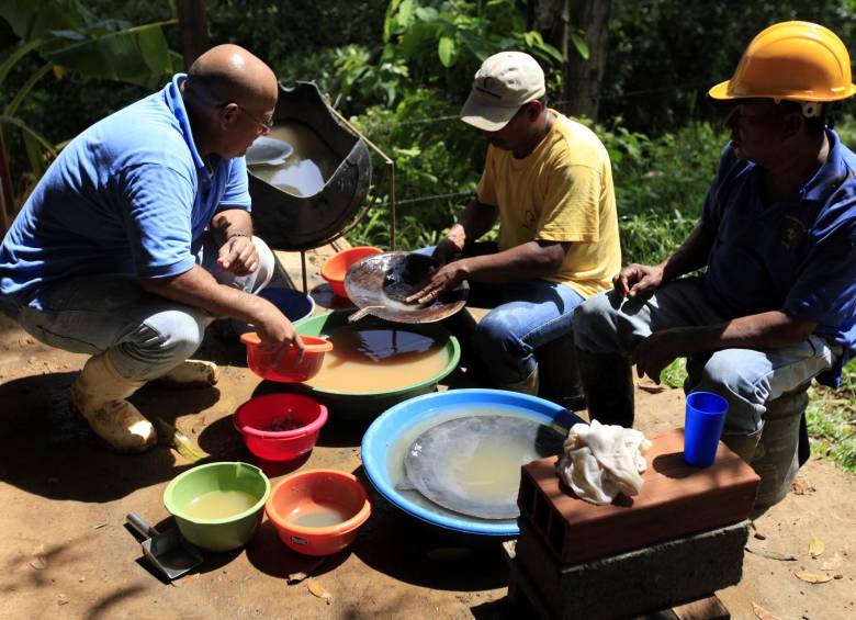 El proceso de lavado lo llevan a cabo por lo menos dos mineros que con sus bateas van limpiando la amalgama, mientras otro va almacenándola limpia en otros recipientes. FOTO MANUEL SALDARRIAGA