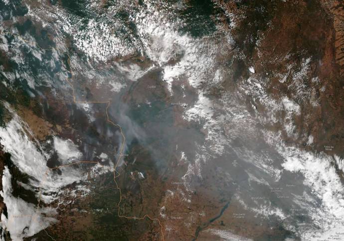 La Amazonia, la selva que contiene un tercio de los bosques primarios del planeta, es conocida como el pulmón del mundo. Foto: AFP