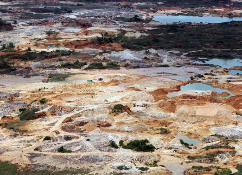 El medio ambiente: otra víctima silenciosa del conflicto