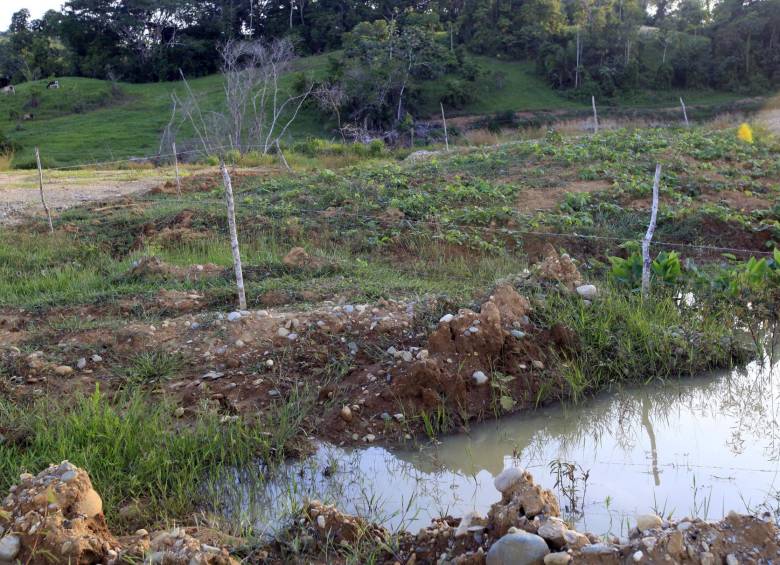 El Proyecto Global de Mercurio en Antioquia, a cargo de la ONUDI, Gobernación de Antioquia y Corantioquia, lleva invertido 1.050 millones de pesos reduciendo la utilización del mercurio a 35 toneladas al año en el Nordeste y recuperando 250 hectáreas degradadas por la minería. FOTO MANUEL SALDARRIAGA