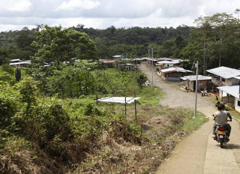 Cultivos de coca en la frontera entre Colombia y Ecuador. FOTO MANUEL SALDARRIAGA