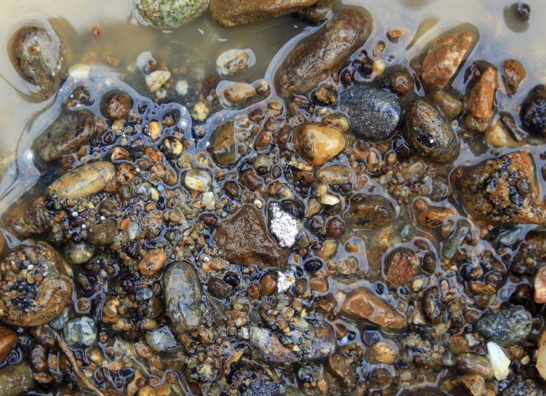 En promedio cada entable, de los 1.526 que existen en Antioquia, emite al medio ambiente aproximadamente 19,86 kilos de mercurio al mes. FOTO MANUEL SALDARRIAGA