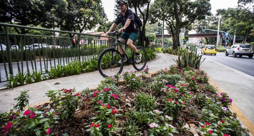 La bicicleta emite poco dióxido de carbono. La mayor parte de esa generación proviene de la alimentación del ciclista. Un medio sano de movilidad. FOTO Julio César Herrera