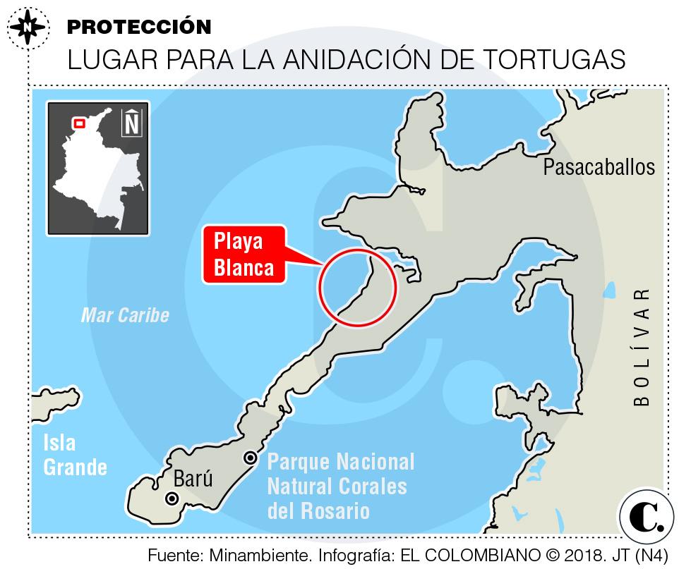 InfogrÃ¡fico