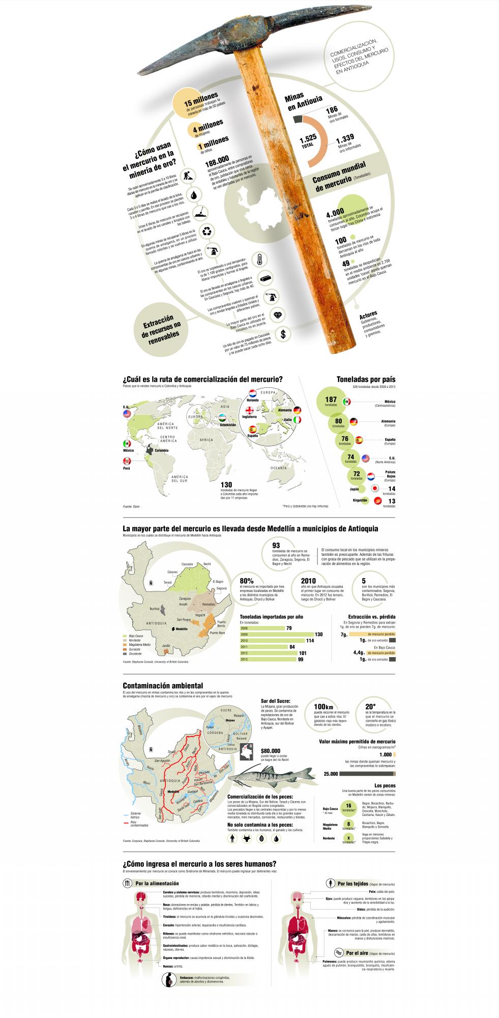 InfogrÃ¡fico