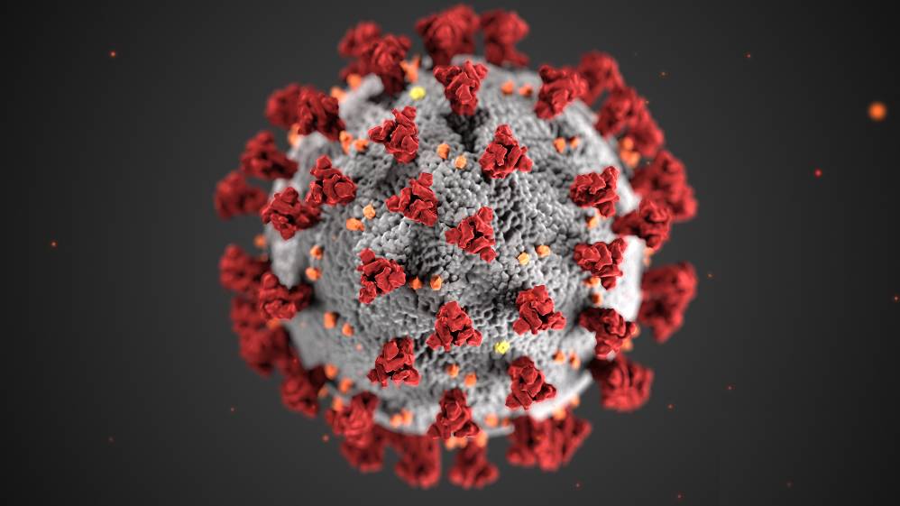 Ilustración CDC de Estados Unidos