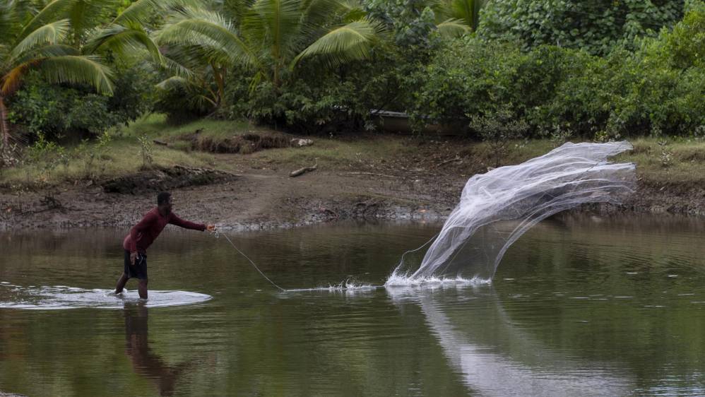 Las cientos de hectáreas de manglares que hay en Tribugá brindan alimento a las poblaciones tradicionales chocoanas y forman un ecosistema único porque ayuda a las especies marinas y terrestres. Foto: Esteban Vanegas