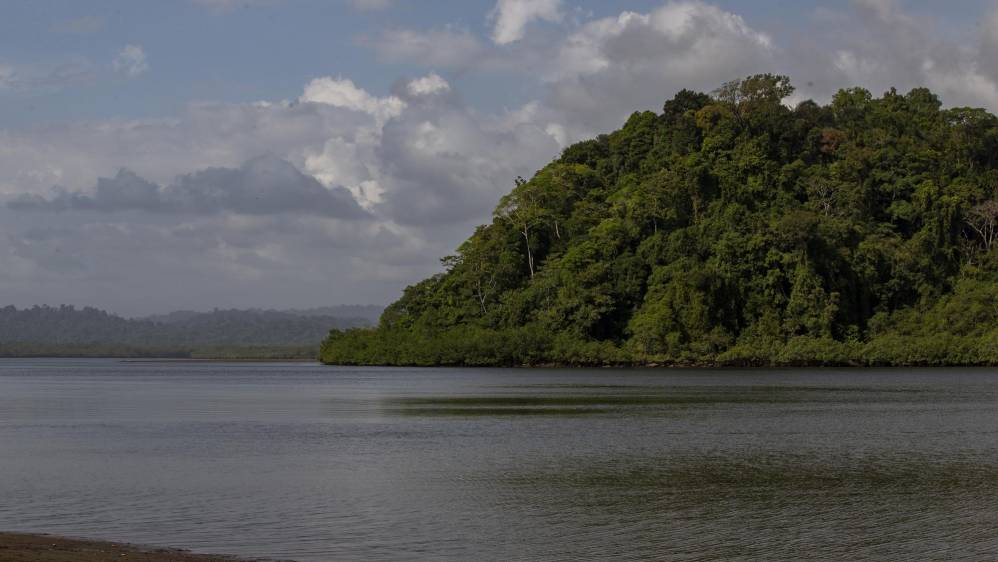 La construcción del puerto en este lugar afectaría tanto a los manglares como a los peces migratorios y los corales. Foto: Esteban Vanegas