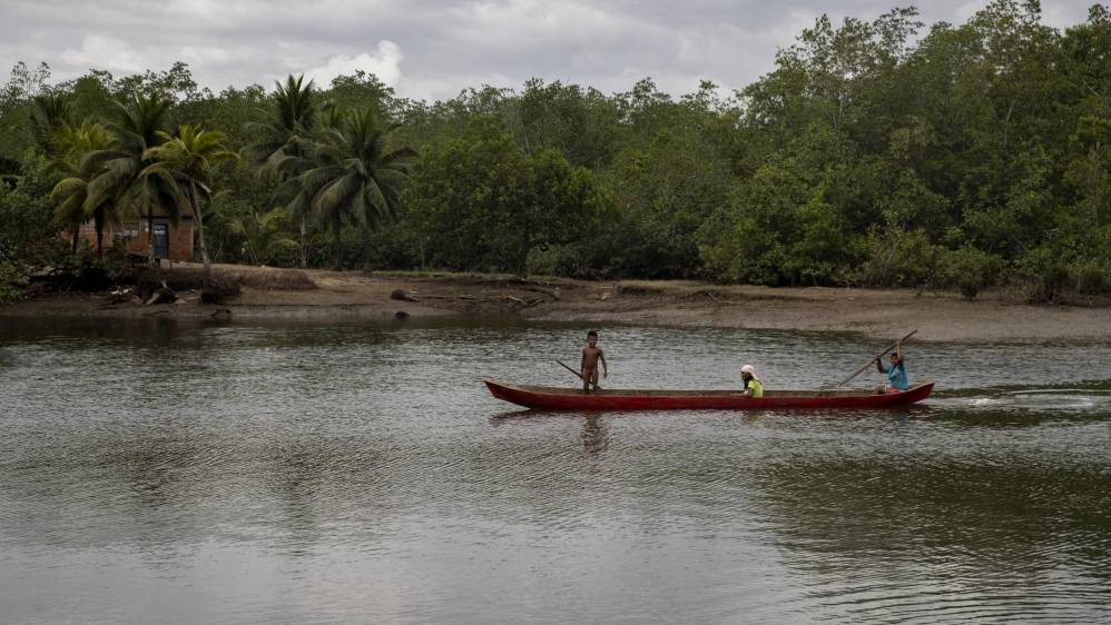 Las cientos de hectáreas de manglares que hay en Tribugá brindan alimento a las poblaciones tradicionales chocoanas y forman un ecosistema único porque ayuda a las especies marinas y terrestres. Foto: Esteban Vanegas